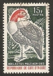 Stamps Ivory Coast -  Ave galliforme, Agelastes meleagrides