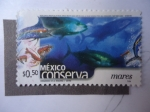 Stamps : America : Mexico :  México Conserva - Mares.