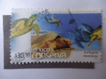 Stamps Mexico -  México Conserva -Tortugas Marinas.