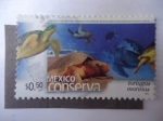 Sellos de America - M�xico -  México Conserva - Tortugas Marinas.