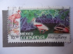 Sellos de America - M�xico -  México Conserva - Manglares.