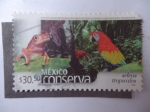 Stamps Mexico -  México Conserva - Selvas Tropicales.