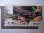 Sellos de America - M�xico -  México Conserva - reptiles.