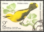 Stamps Russia -  Oriolus oriolus-oropéndola europea
