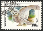 Stamps Russia -  Búho-