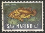 Stamps San Marino -  Fauna acuática, cernia bruna