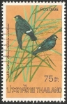 Stamps Thailand -  Pseudochelidon sirintarae-Río blanco de ojos martin 