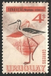 Stamps : America : Uruguay :  Tero real