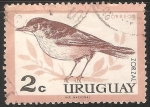 Stamps : America : Uruguay :  Zorzal