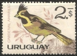 Sellos de America - Uruguay -  Cardenal amarillo