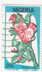 Stamps Africa - Nigeria -  flores-tecoma stans