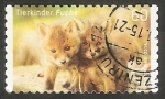 Stamps Germany -  Cachorros de zorro