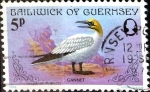 Stamps United Kingdom -  Intercambio crxf2 0,20 usd 5 p. 1978