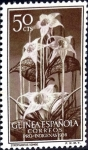 Stamps Spain -  Intercambio crxf2 0,30 usd 50 cent. 1956