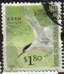 Sellos del Mundo : Asia : China : CHINA HONG KONG 2006 Sellos Serie Pájaros ROSEATE TERN Usado