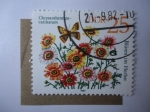 Stamps Germany -  Flora: Cactus Flower (Mi/2741)