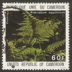 Stamps Cameroon -  Planta medicinal, pteridium aquilinum