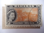 Stamps : America : Bahamas :  Elizabeth II - Native Product - Sisal