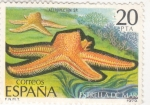 Sellos de Europa - Espa�a -  estrella de mar (22)