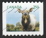 Sellos de America - Canad� -  Wapiti, ciervo canadiense