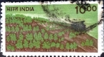 Sellos de Asia - India -  Intercambio 0,40 usd 10 rupia  1984