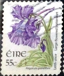 Stamps : Europe : Ireland :  Intercambio 1,50 usd 55 cent. 2007