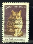 Sellos de Asia - India -  Gato leopardo