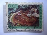 Stamps Venezuela -  Fauna: Venado Caramerudo (Odocoileus Virginianus)