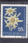 Sellos de Europa - Rumania -  flores-