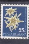 Stamps Romania -  flores-