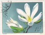 Stamps Poland -  flores-