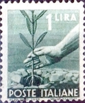 Stamps Italy -  Intercambio m2b 0,20 usd 1 l. 1945