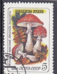 Sellos de Europa - Rusia -  setas- amanita muscaria