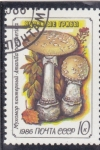 Stamps Russia -  setas- amanita