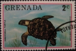 Stamps : America : Grenada :  Hawksbill turtle