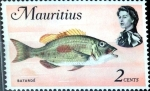 Stamps : Africa : Mauritius :  Intercambio aexa 0,25 usd 2 cent. 1969