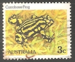 Sellos de Oceania - Australia -  corroboree frog-Rana Corroboree