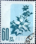 Stamps : Europe : Poland :  Intercambio m1b 0,20 usd  60 g. 1957