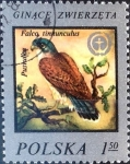 Stamps : Europe : Poland :  Intercambio nfxb 0,20 usd  1,50 z. 1975