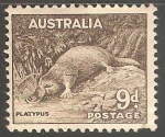 Stamps : Oceania : Australia :  Platypus-ornitorrinco 