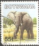 Stamps Africa - Botswana -  Elefante
