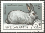 Stamps Bulgaria -  French Silver Rabbit-conejo