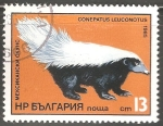 Sellos del Mundo : Europa : Bulgaria : Conepatus leuconotus-zorrino de nariz porcina