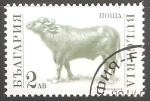 Stamps : Europe : Bulgaria :  Bos primigenius taurus-toro