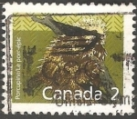 Stamps : America : Canada :  Porcupine- Puercoespín