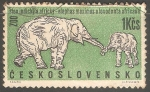 Stamps Czechoslovakia -  Elephans maximus- elefante asiático