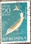 Stamps Romania -  Intercambio 0,20 usd 50 b. 1957