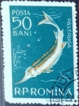 Sellos de Europa - Rumania -  Intercambio 0,20 usd 50 b. 1957