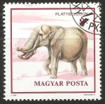 Stamps Hungary -  Platybelodon