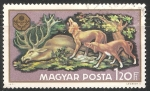 Stamps Hungary -  Ciervo y perros